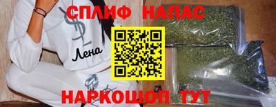 дмт Кинель