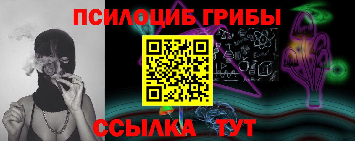 Псилоцибиновые грибы Psilocybe Карпинск