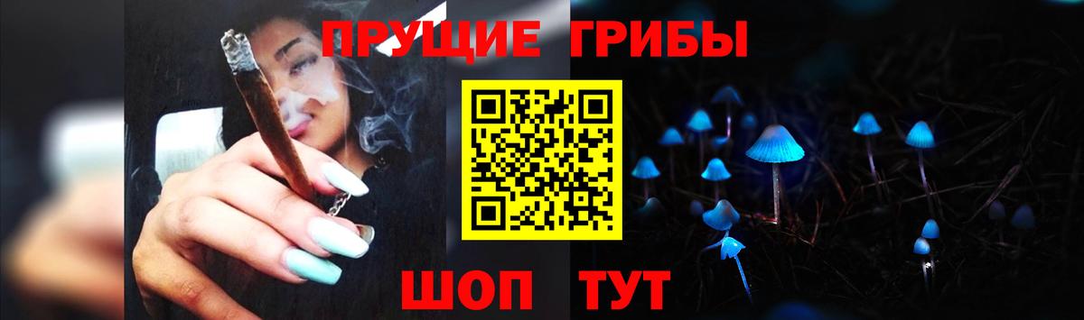 хочу   Вход с VPN  Карпинск  Псилоцибиновые грибы мухоморы 