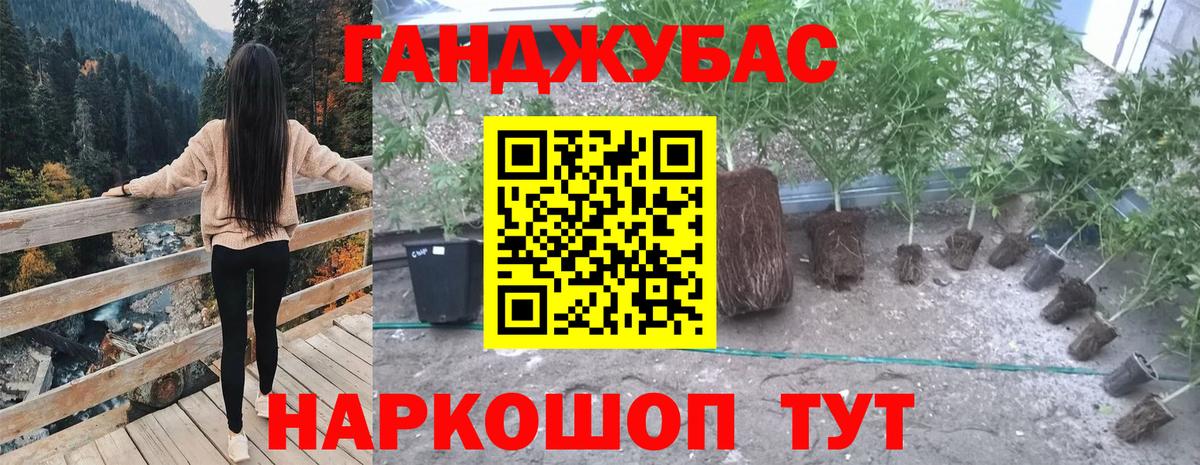 Бошки Шишки сатива  Вход с VPN  Карпинск  Шишки марихуана планчик  Шишки марихуана Amnesia 